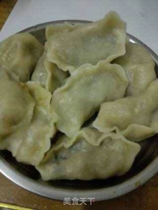 韭菜粉条饺子的做法步骤：6