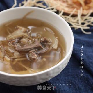 灯芯草麦冬猪心汤的做法步骤：7