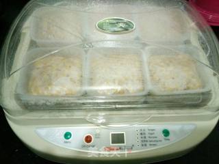纳豆机做纳豆的做法步骤：24