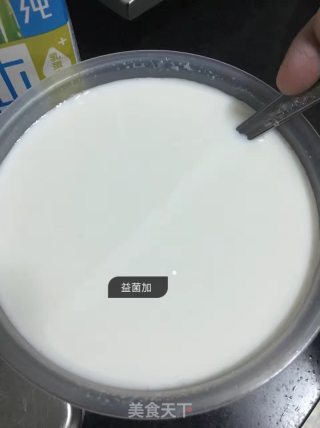 家制酸奶的做法步骤：3