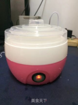 家制酸奶的做法步骤：4