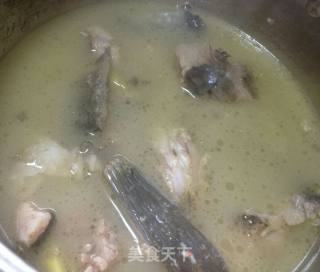 鲜鲫鱼汤的做法步骤：7