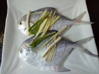 清蒸白鲳的做法步骤：3