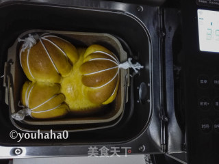 丰收的南瓜吐司的做法步骤：11