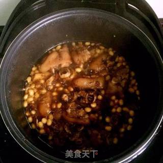 喵喵的黄豆焖猪蹄的做法步骤：5