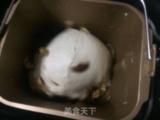 全麦核桃红枣欧包的做法步骤：6