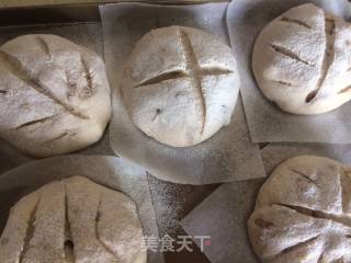 全麦核桃红枣欧包的做法步骤：16