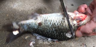 砂锅鲫鱼炖豆腐的做法步骤：2
