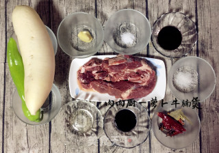 萝卜牛腩煲#肉肉厨的做法步骤：1