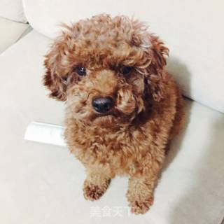PK黄豆芽的做法步骤：8