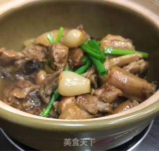 客家酸荞焖鸭（鹅）的做法步骤：11