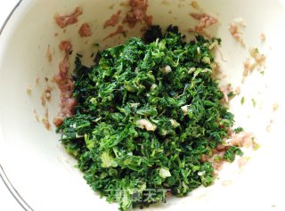 荠菜猪肉蒸包的做法步骤：5