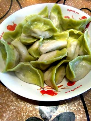 干贝韭蛋“小白菜”饺的做法步骤：8