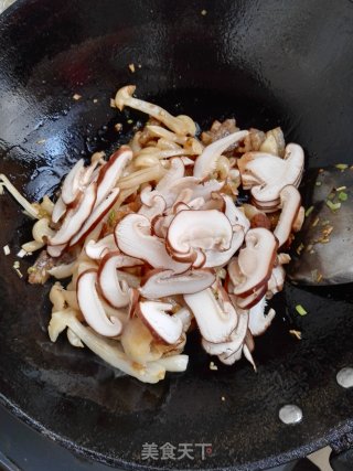 鲜茹炒五花肉的做法步骤：7