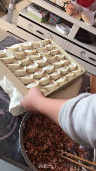 天津初一素馅饺子的做法步骤：10