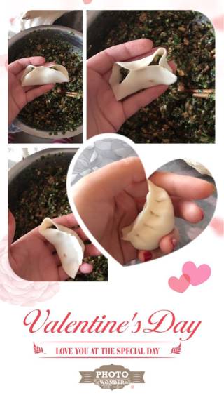 韭菜木耳香菇肉馅饺子的做法步骤：6