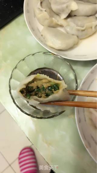 韭菜木耳香菇肉馅饺子的做法步骤：8
