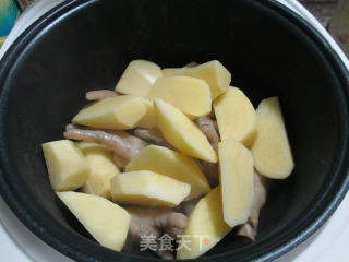 鸡爪白菜焖土豆的做法步骤：2