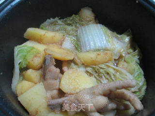 鸡爪白菜焖土豆的做法步骤：10