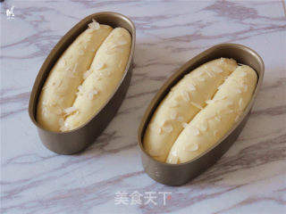 蜂蜜小吐司的做法步骤：13