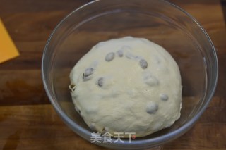 酸奶提子面包—德普烘焙实验室的做法步骤：6