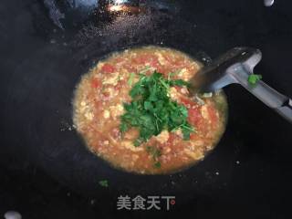 番茄鸡蛋拌饭的做法步骤：8