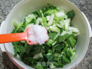 手捏菜馅饼的做法步骤：2