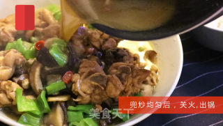 家常黄焖鸡（附视频链接）的做法步骤：9