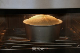 新手面包——奶酪面包的做法步骤：8