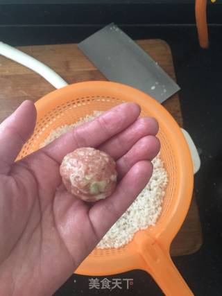 蒸糯米肉圆的做法步骤：4