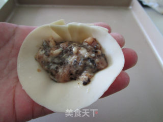 黑木耳鲜肉锅贴的做法步骤：5