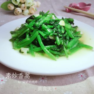 素炒香蒿的做法步骤：9