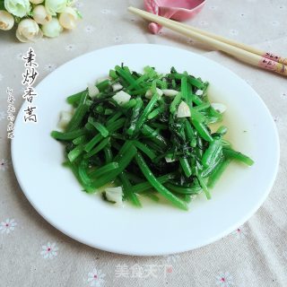素炒香蒿的做法步骤：10