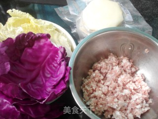 白菜紫甘蓝猪肉饺子的做法步骤：1
