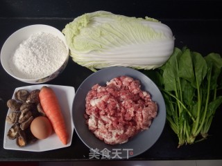 翡翠大白菜肉馅饺子的做法步骤：1