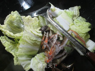 大闸蟹烧白菜的做法步骤：6