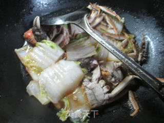 大闸蟹烧白菜的做法步骤：10