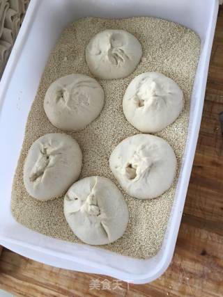黄金大饼的做法步骤：4