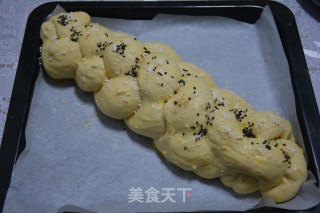 中种四股辫面包的做法步骤：15