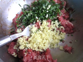 羊肉胡萝卜饺子的做法步骤：3