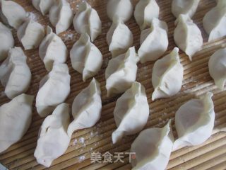 羊肉胡萝卜饺子的做法步骤：8