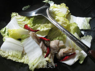 豆结烧白菜的做法步骤：4
