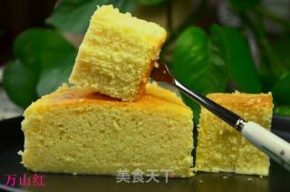 自制淡奶酪的做法步骤：13