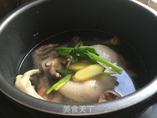 鸡枞菌土鸡汤的做法步骤：4