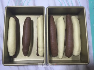 双色吐司的做法步骤：13