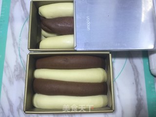 双色吐司的做法步骤：15