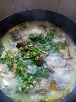 简单鲫鱼炖豆腐的做法步骤：7