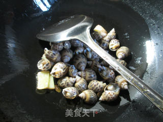 沙茶酱花螺的做法步骤：5