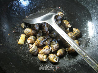 沙茶酱花螺的做法步骤：9
