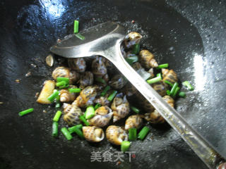 沙茶酱花螺的做法步骤：10